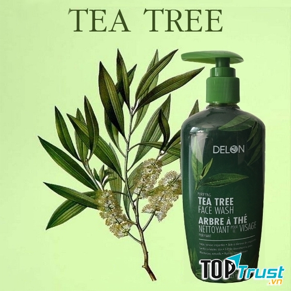 SỮA RỬA MẶT DELON TEA TREE FACE WASH 325ML