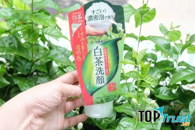 Sữa rửa mặt Trà Xanh Rohto Shirochasou Green Tea