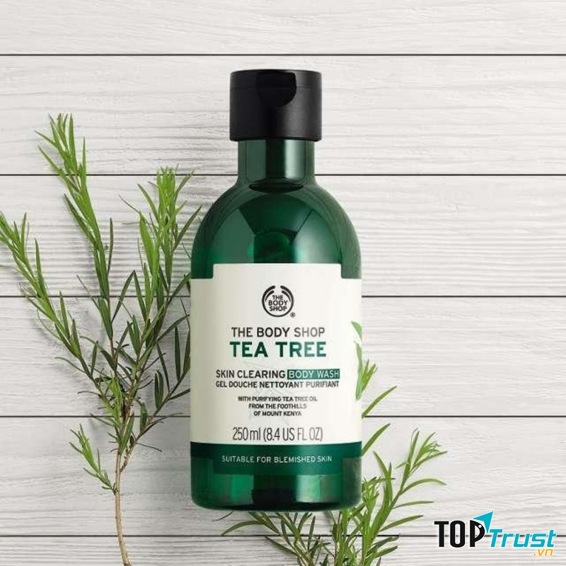 Sữa tắm Tea Tree Body Wash sảng khoái và không tạo bọt giúp chống khuẩn, trị mụn viêm hiệu quả cao