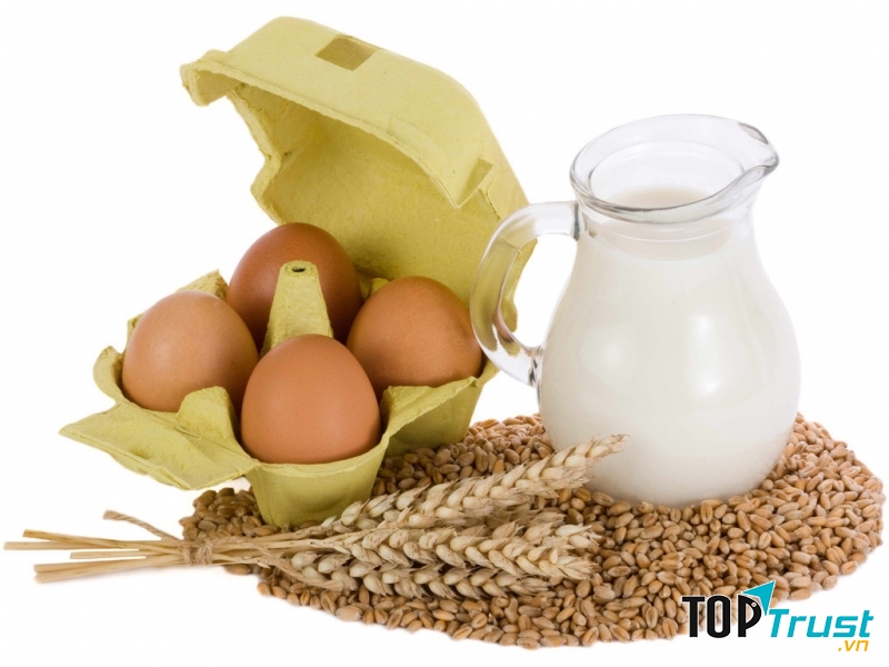 Trứng, sữa tạo thành bảo vệ trung hòa acid dịch vị