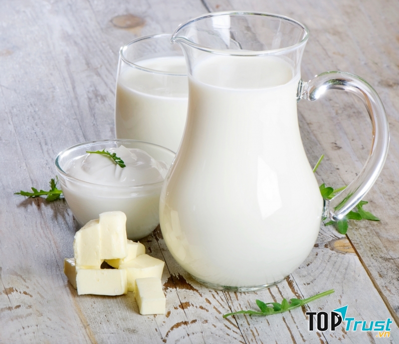 Sữa- Nguồn thực phẩm giàu protein và chất béo.