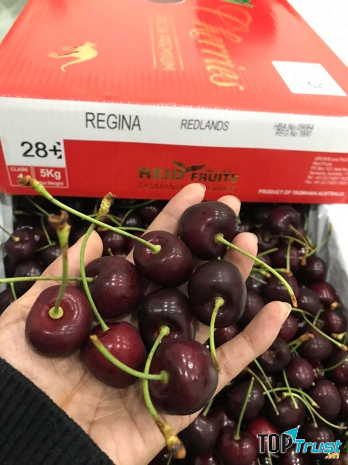 SỨC SỐNG XANH - Trung Tâm Trái Cây Nhập Khẩu