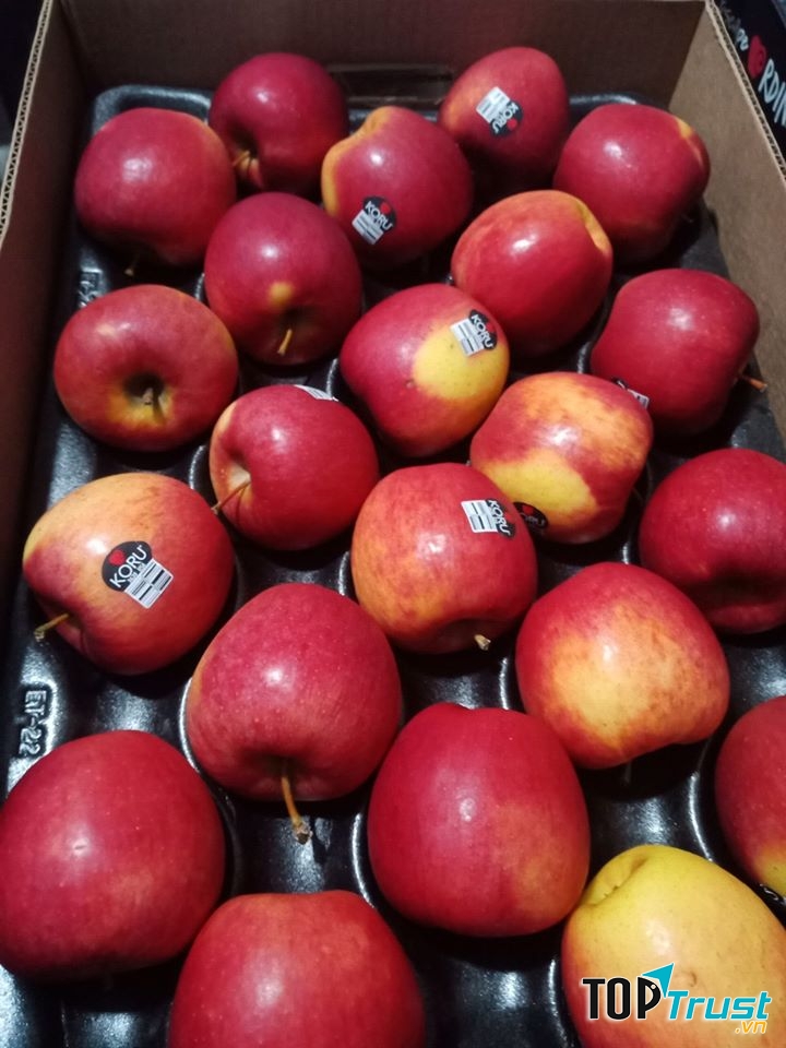 SỨC SỐNG XANH - Trung Tâm Trái Cây Nhập Khẩu