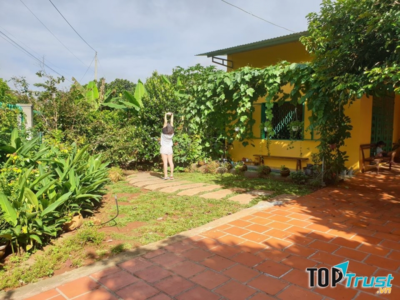 Sue's Homestay/Farmstay - Saigon Viet Nam