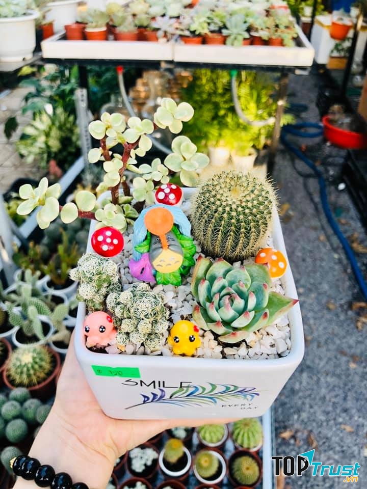 Suha Garden Nha Trang