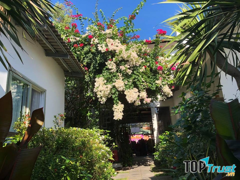 Sunshine Bungalow với không gian xanh