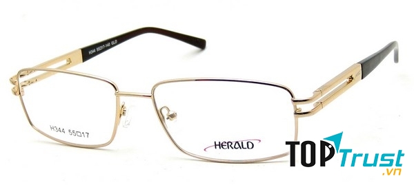 Một mẫu gọng kính nam của Sunwear