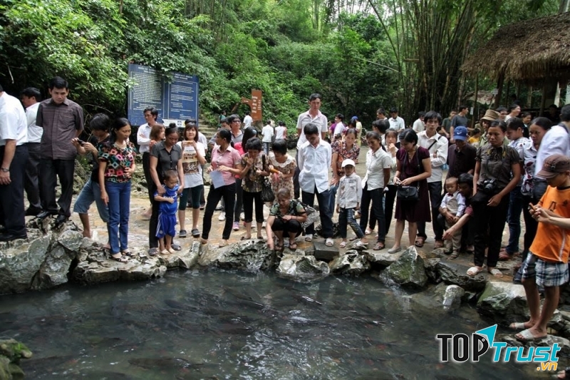 Dòng người tấp nập ngắm dòng cá bơi lội vào hang