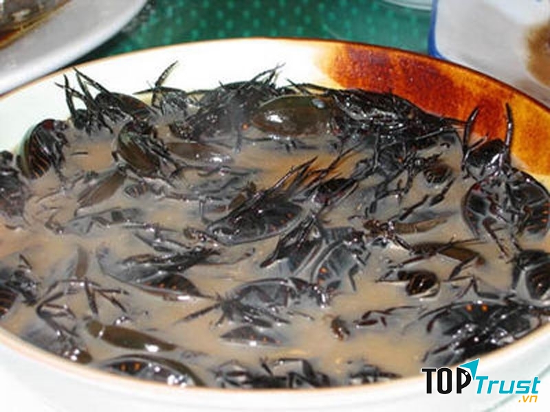 Súp dơi, súp bọ cạp