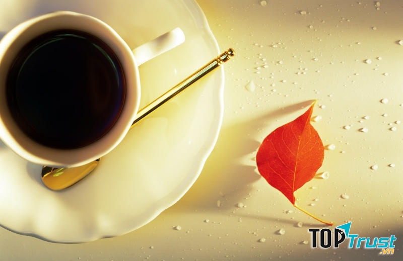 Suy ngẫm về cuộc sống