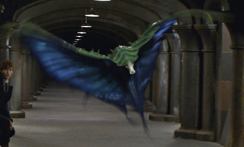 Swooping Evil