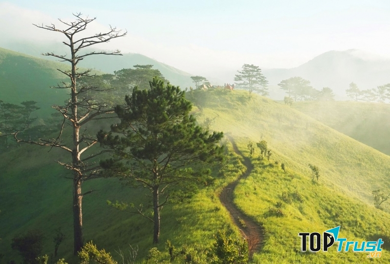 Được mệnh danh là cung đường trekking đẹo nhất Việt Nam với độ dài hơn 50 km