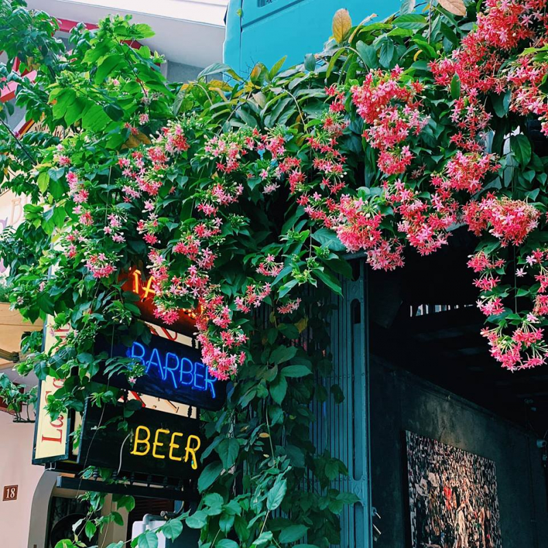 Taboo Pub