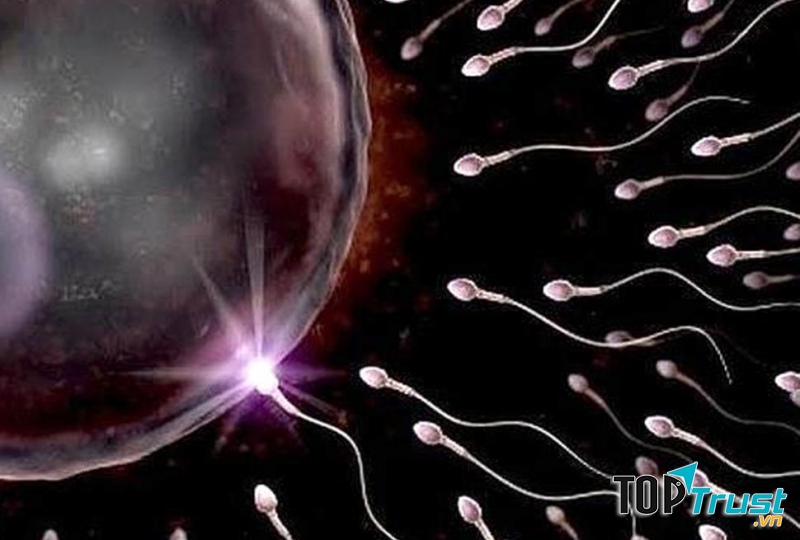Tác động xấu đến tinh trùng
