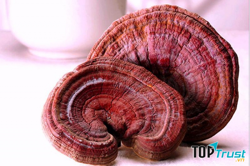 Tác dụng thần kì của nấm linh chi trong chữa bệnh.