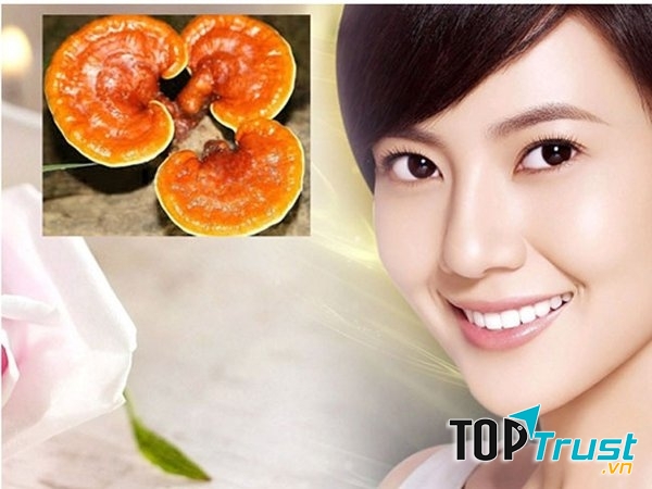 Nấm linh chi có tác dụng làm đẹp ngăn ngừa nám, tàn nhang trên da.