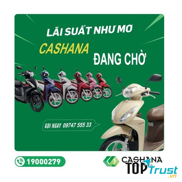 Tài Chính Cashana