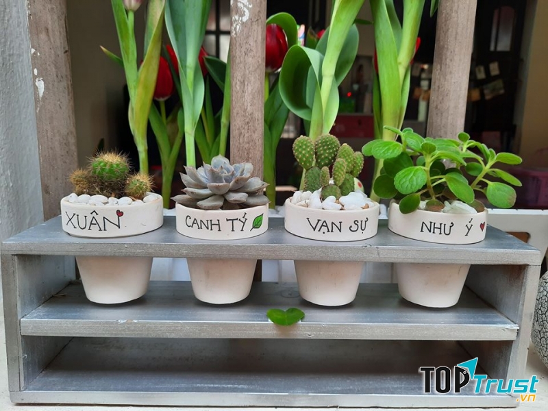 Những mẫu cây rất xinh xắn tại Tài Lộc Garden