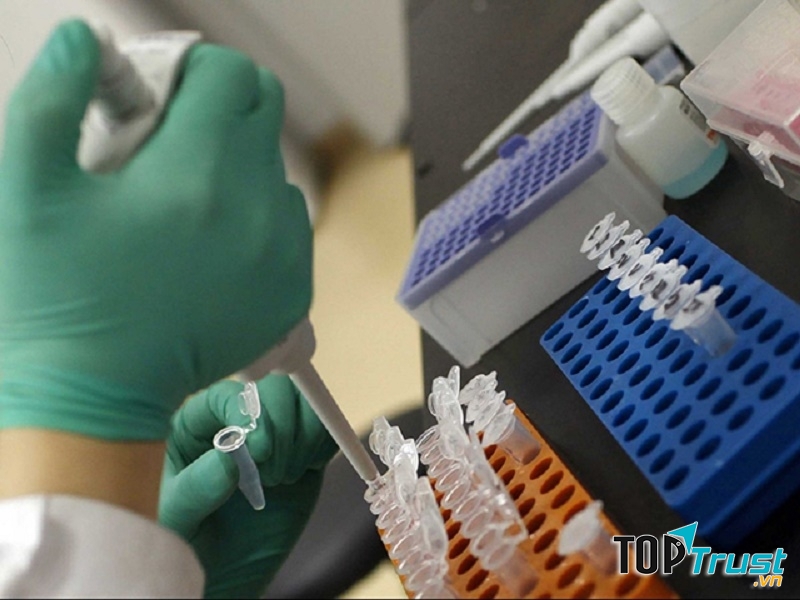 HPV là một loại virus