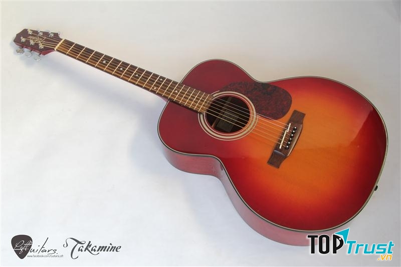 Đàn guitar Takamine ETN 40c