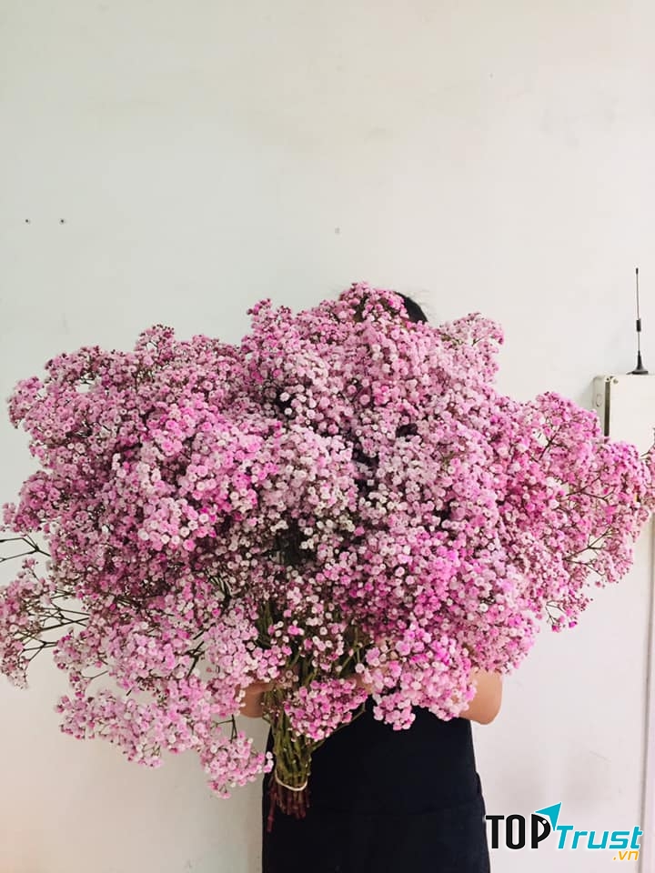 Đây là địa chỉ chuyên sỷ - lẻ hoa uy tín tại Hà Nội