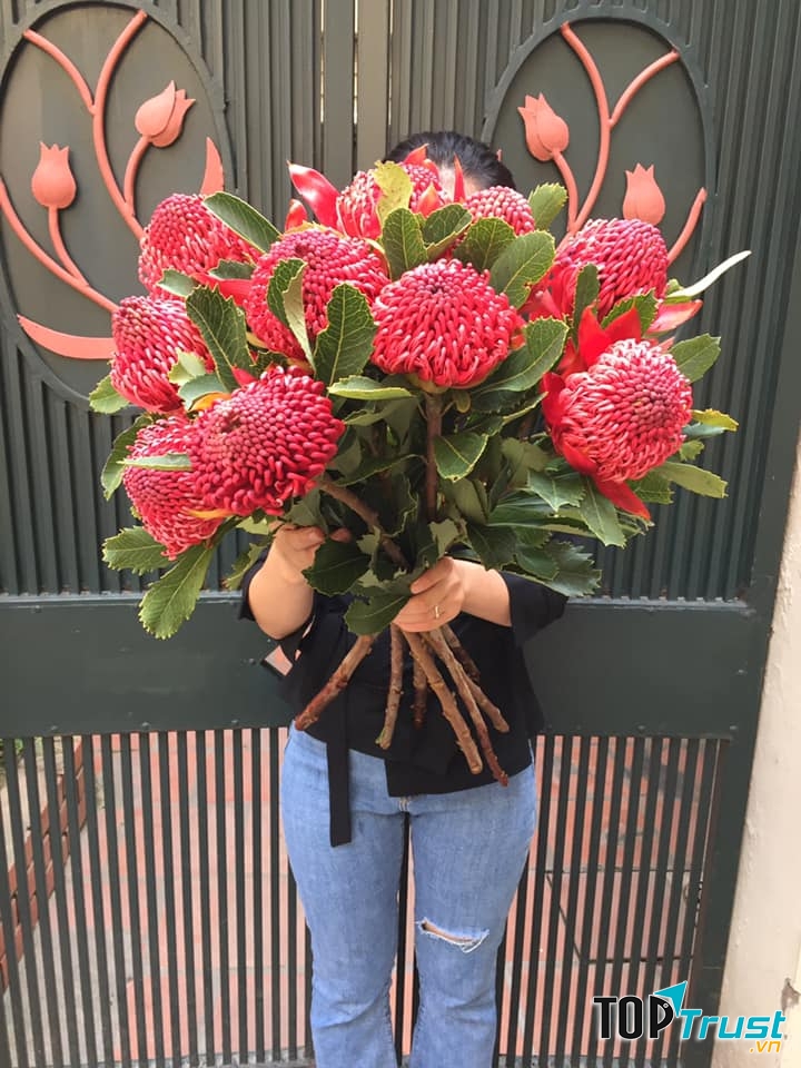 Cửa hàng của Talia không quá ấn tượng nhưng các loại hoa lại vô cùng đa dạng.