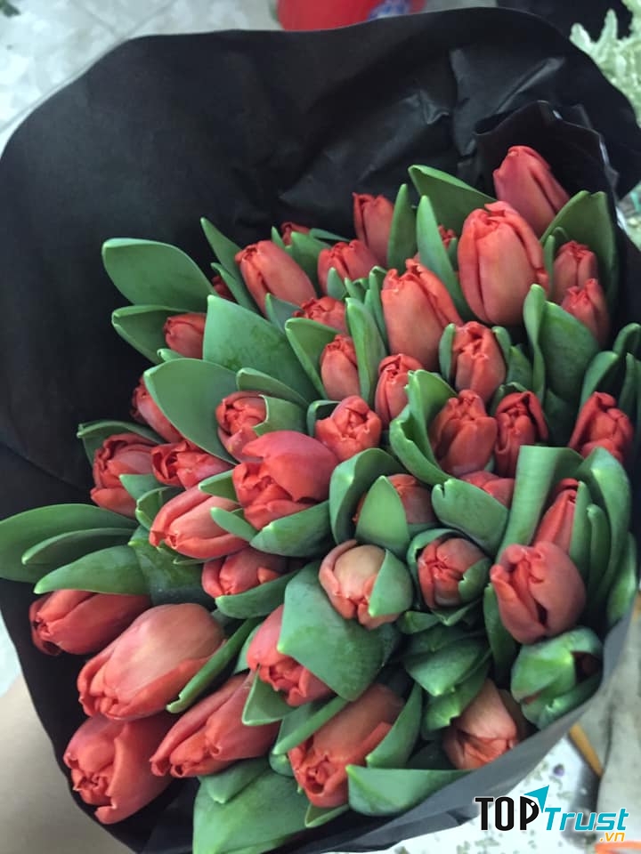 Talia bạn còn có thể thoải mái lựa chọn các loại hình phù hợp như hoa bó, hoa hộp... với những mẫu mã, các phối màu, chọn giấy, hộp hiện đại