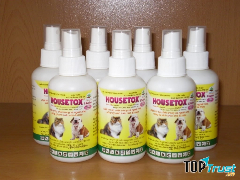 Tắm cho chú cún nhà bạn thường xuyên