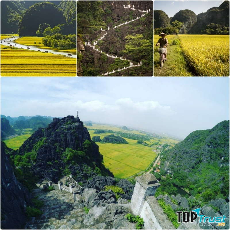 Một vài hình ảnh khác của Tam Côc - Bích Động mùa lúa chín.