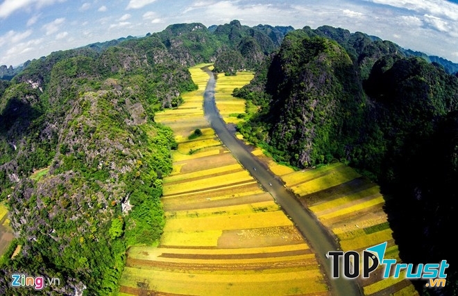 Mùa lúa chín cuối tháng 5 là thời điểm tuyệt nhất để đến Tam Cốc
