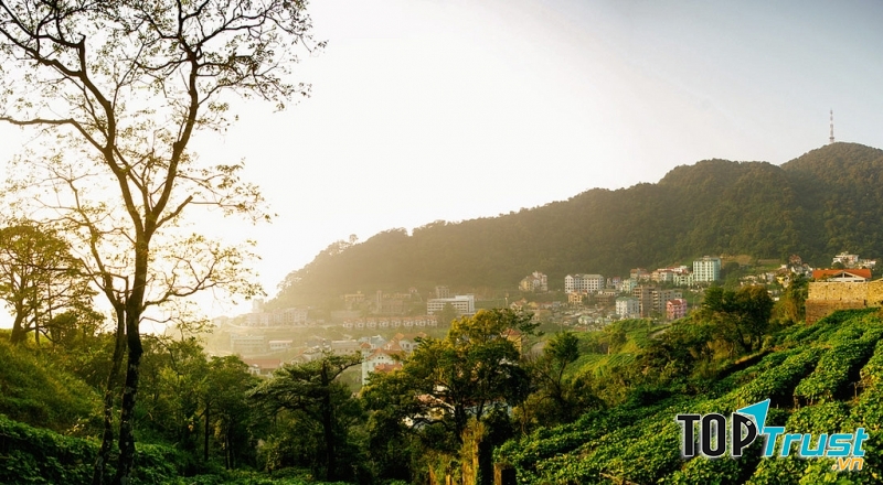 Tam Đảo dưới ánh Mặt Trời