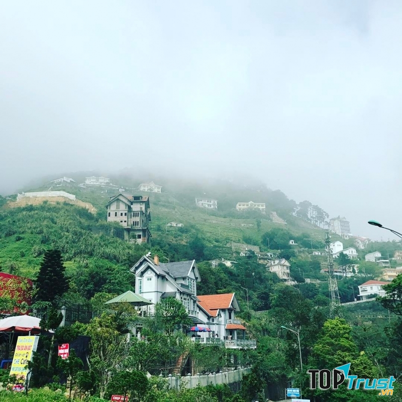 Tam Đảo