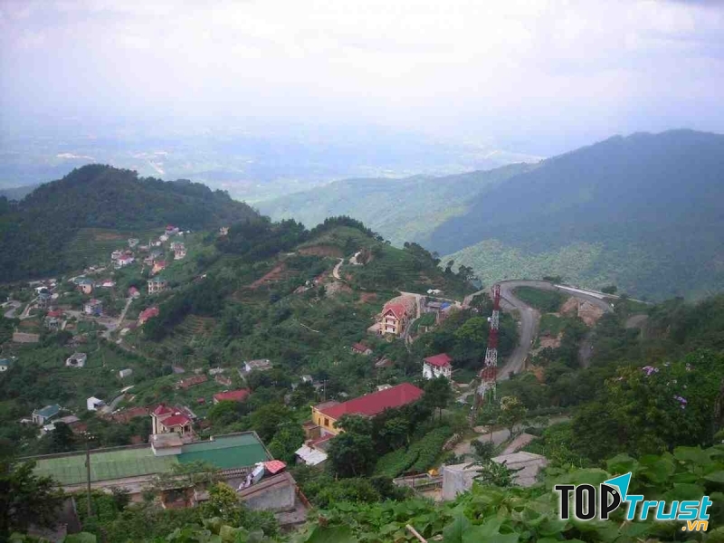 Tam Đảo