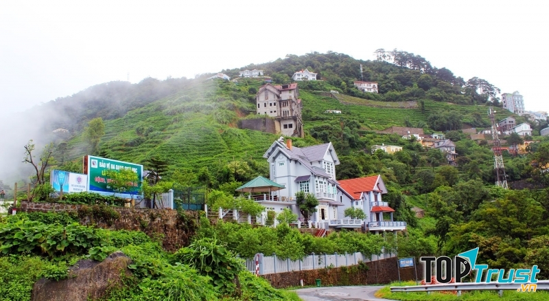 Tam Đảo luôn hấp dẫn khách du lịch trong và ngoài nước