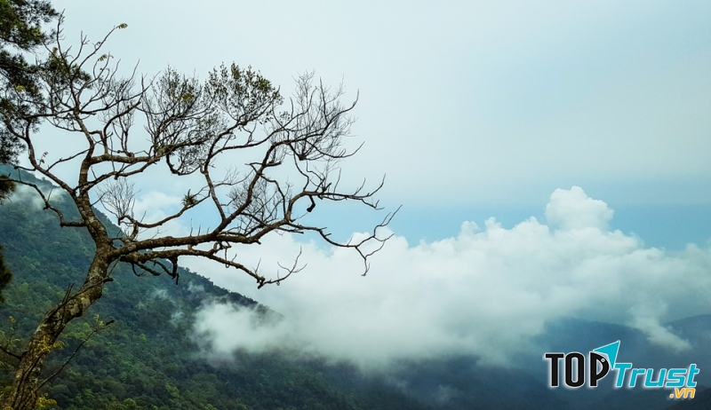 Tam Đảo, Vĩnh Phúc