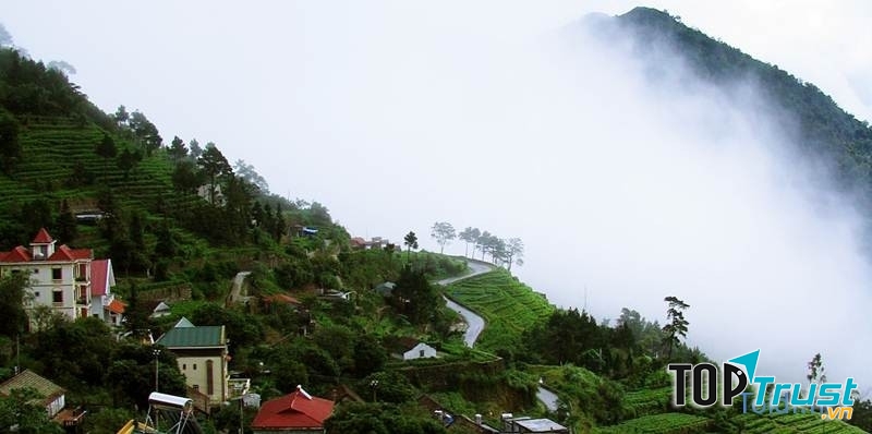 Tam Đảo - Vĩnh Phúc (Cách Hà Nội tầm 80km)