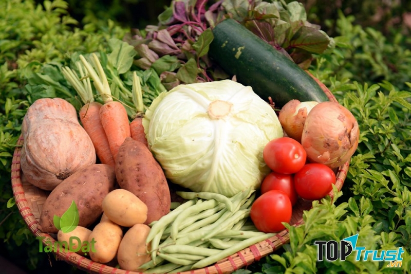 Tâm Đạt hữu cơ