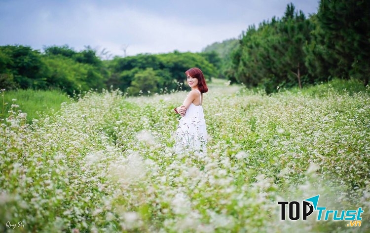Nhiều bạn trẻ đã đến đây để săn những tấm ảnh đẹp nhất