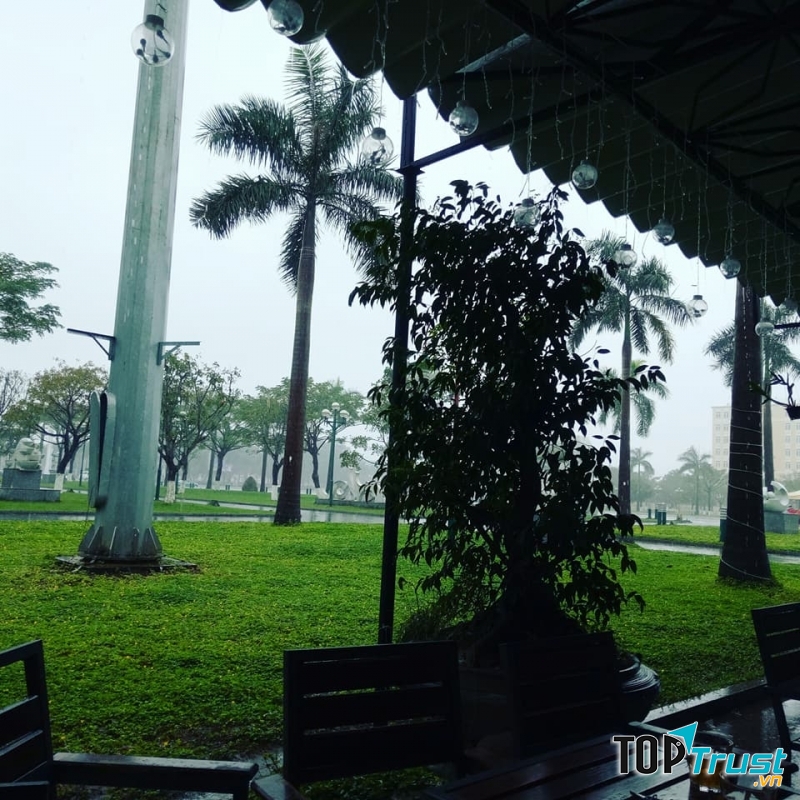 Một góc nhìn từ Tam Kỳ Coffee