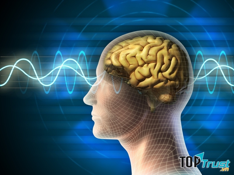 bộ não con người phân tích