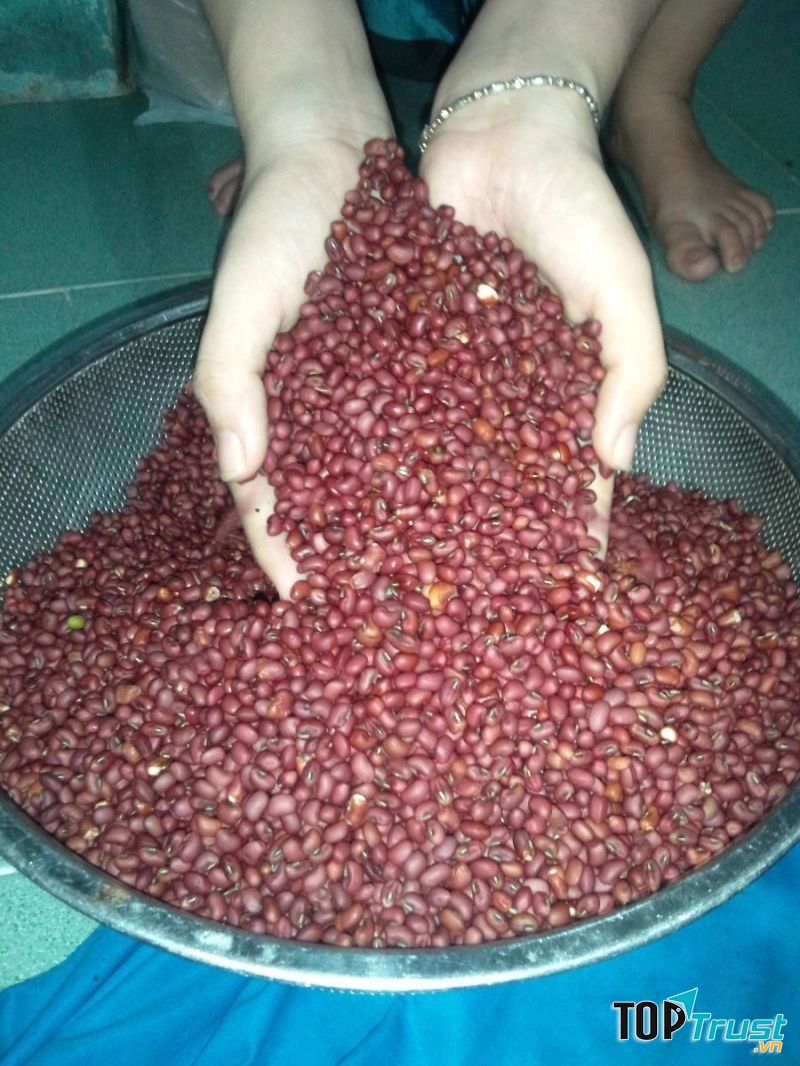 Tắm trắng bằng bột đậu đỏ. Ảnh minh họa