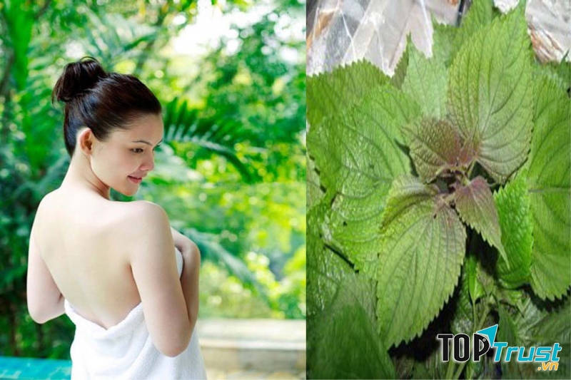 Tắm trắng bằng lá tía tô