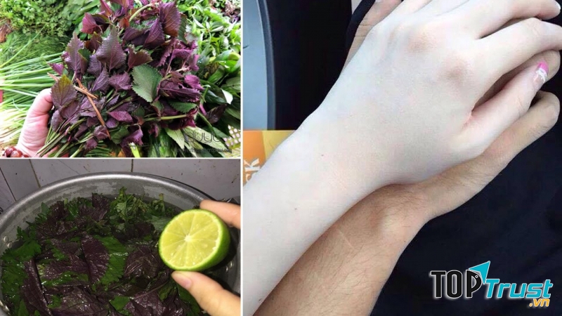 Tắm trắng bằng lá tía tô và chanh giúp da bật tone nhanh chóng