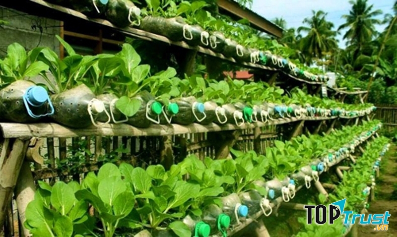 Tận dụng các nguồn thực phẩm có sẵn