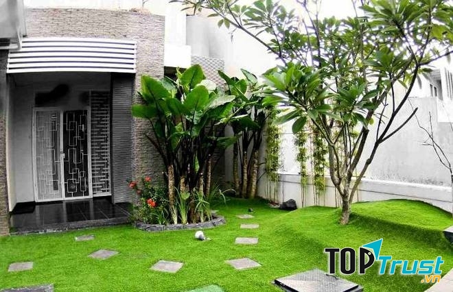 Tăng cường dinh dưỡng cho cây thân cỏ