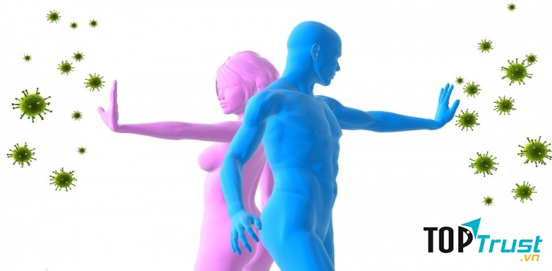 Tăng cường hệ miễn dịch