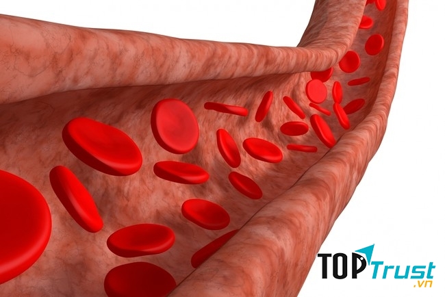 Sũa đậu nành  giàu axit béo omega-3 và omega-6