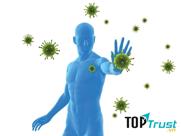 Vitamin C trong quả chanh chính là chất chống oxy hóa hữu hiệu