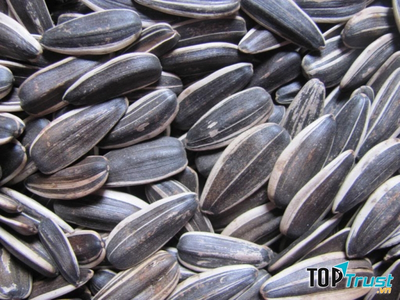 ăn hạt hướng dương tốt cho tim mạch