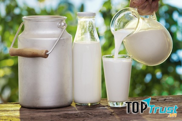 Tác dụng của sữa tươi này cực kỳ tốt với trẻ em đặc biệt với các trẻ chậm lớn.